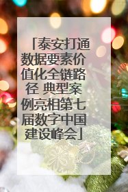 泰安打通数据要素价值化全链路径 典型案例亮相第七届数字中国建设峰会