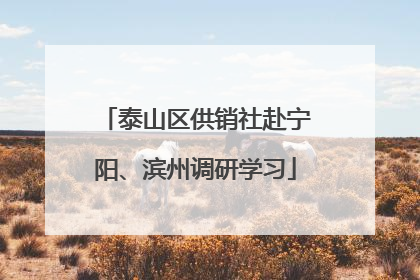 泰山区供销社赴宁阳、滨州调研学习