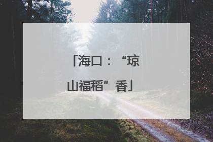 海口：“琼山福稻”香