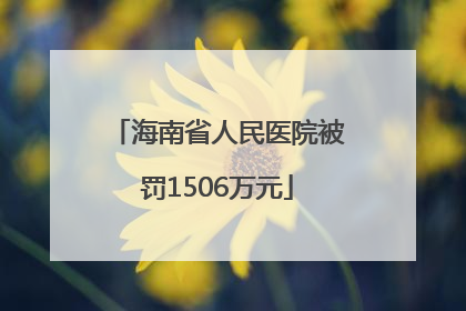 海南省人民医院被罚1506万元