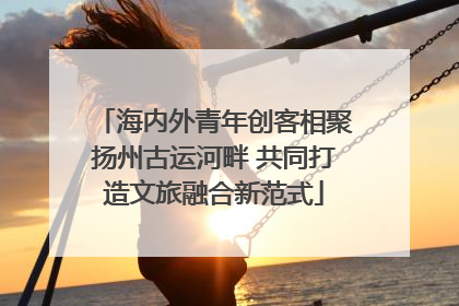 海内外青年创客相聚扬州古运河畔 共同打造文旅融合新范式