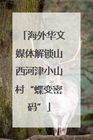 海外华文媒体解锁山西河津小山村“蝶变密码”
