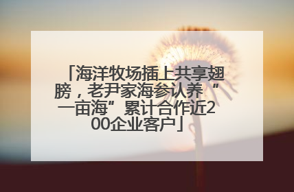 海洋牧场插上共享翅膀，老尹家海参认养“一亩海”累计合作近200企业客户