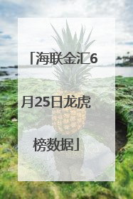 海联金汇6月25日龙虎榜数据