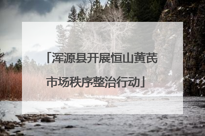 浑源县开展恒山黄芪市场秩序整治行动