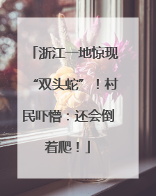 浙江一地惊现“双头蛇”！村民吓懵：还会倒着爬！