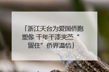 浙江天台为爱国侨胞塑像 千年干漆夹苎“留住”侨界温情