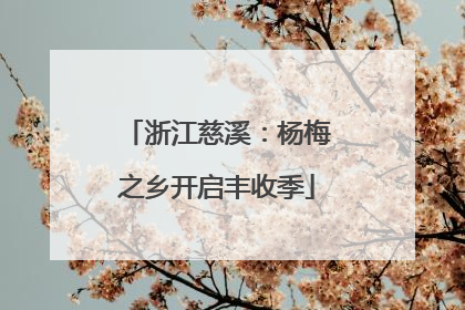 浙江慈溪：杨梅之乡开启丰收季