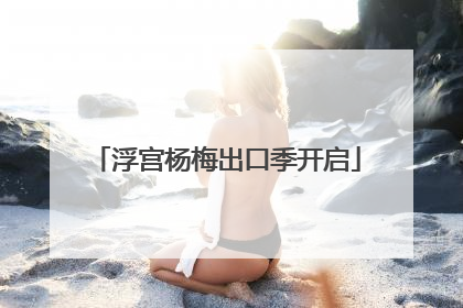 浮宫杨梅出口季开启