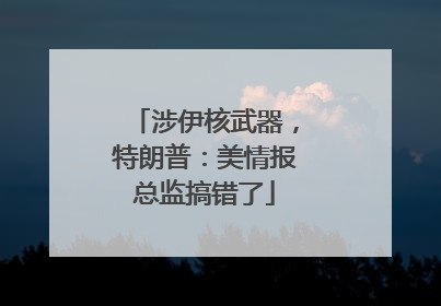 涉伊核武器，特朗普：美情报总监搞错了