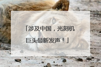 涉及中国，光刻机巨头最新发声！