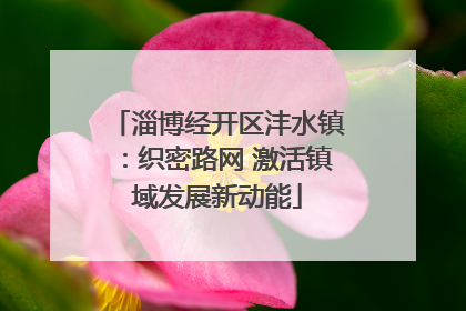 淄博经开区沣水镇：织密路网 激活镇域发展新动能
