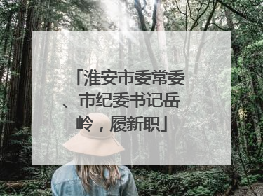 淮安市委常委、市纪委书记岳岭，履新职