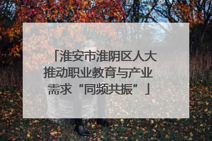 淮安市淮阴区人大推动职业教育与产业需求“同频共振”