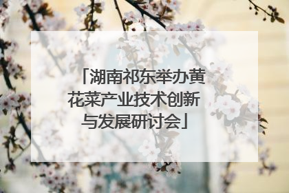 湖南祁东举办黄花菜产业技术创新与发展研讨会