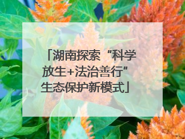 湖南探索“科学放生+法治善行”生态保护新模式
