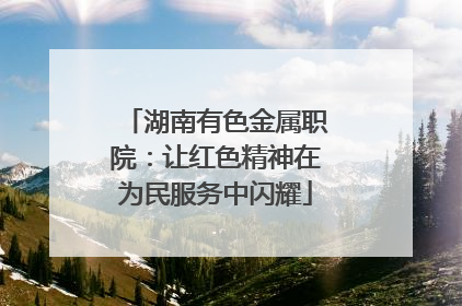 湖南有色金属职院：让红色精神在为民服务中闪耀