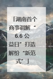 湖南首个商事调解“6.6 公益日”打造解纷“新范式”