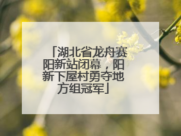 湖北省龙舟赛阳新站闭幕，阳新下屋村勇夺地方组冠军