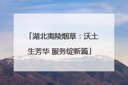 湖北夷陵烟草：沃土生芳华 服务绽新篇