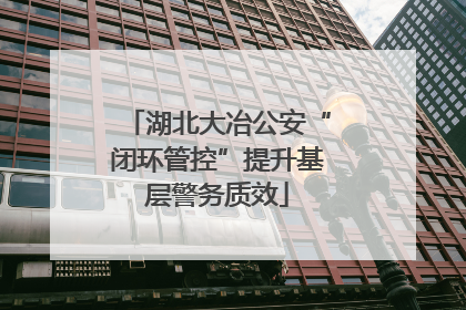 湖北大冶公安“闭环管控”提升基层警务质效