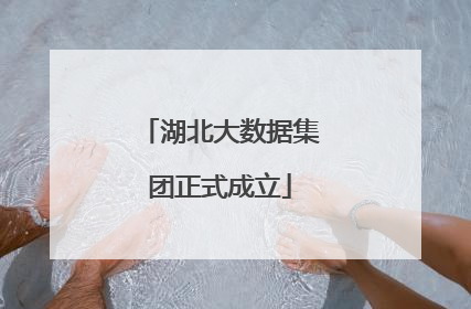 湖北大数据集团正式成立