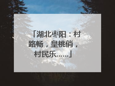 湖北枣阳：村路畅，皇桃俏，村民乐……