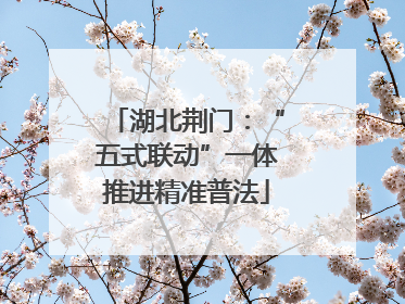 湖北荆门：“五式联动”一体推进精准普法