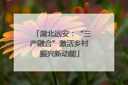 湖北远安：“三产融合”激活乡村振兴新动能