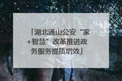 湖北通山公安“家+智慧”改革推进政务服务提质增效