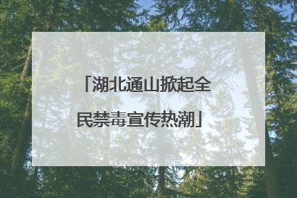 湖北通山掀起全民禁毒宣传热潮