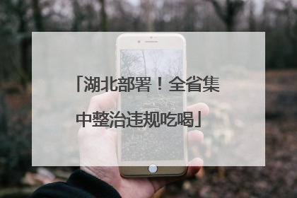 湖北部署！全省集中整治违规吃喝
