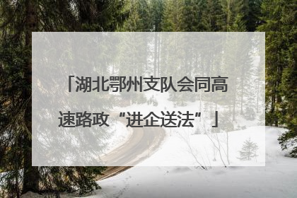 湖北鄂州支队会同高速路政“进企送法”