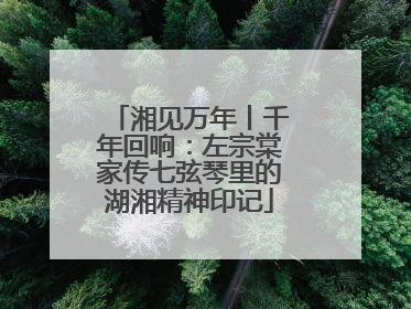 湘见万年丨千年回响：左宗棠家传七弦琴里的湖湘精神印记