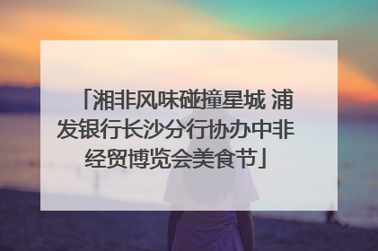 湘非风味碰撞星城 浦发银行长沙分行协办中非经贸博览会美食节