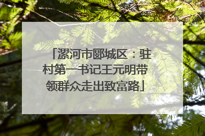 漯河市郾城区：驻村第一书记王元明带领群众走出致富路