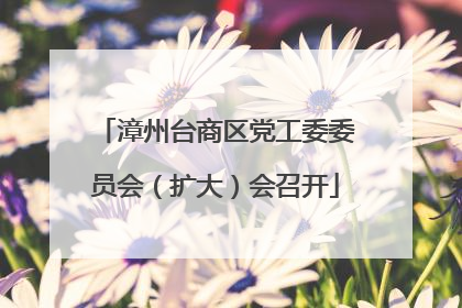 漳州台商区党工委委员会（扩大）会召开
