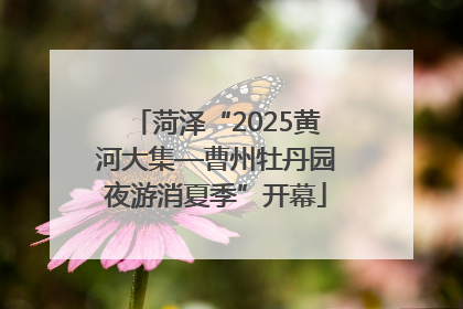 菏泽“2025黄河大集—曹州牡丹园夜游消夏季”开幕