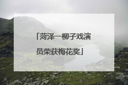 菏泽一柳子戏演员荣获梅花奖