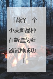 菏泽三个小麦新品种在新疆戈壁滩试种成功