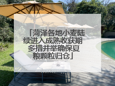 菏泽各地小麦陆续进入成熟收获期 多措并举确保夏粮颗粒归仓