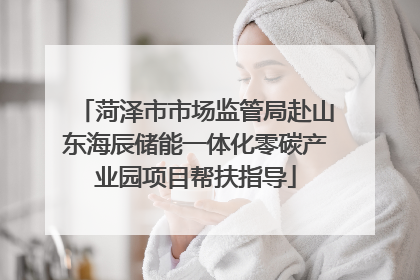 菏泽市市场监管局赴山东海辰储能一体化零碳产业园项目帮扶指导
