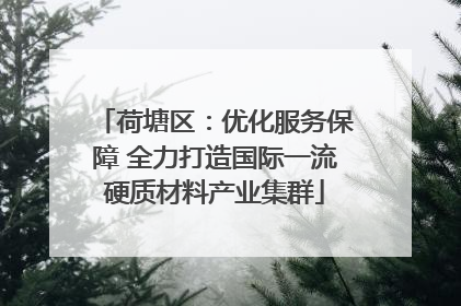 荷塘区：优化服务保障 全力打造国际一流硬质材料产业集群