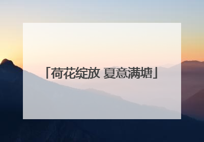 荷花绽放 夏意满塘