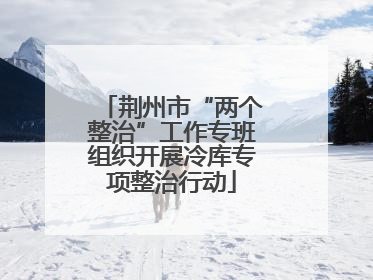 荆州市“两个整治”工作专班组织开展冷库专项整治行动