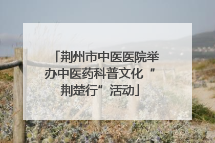 荆州市中医医院举办中医药科普文化“荆楚行”活动