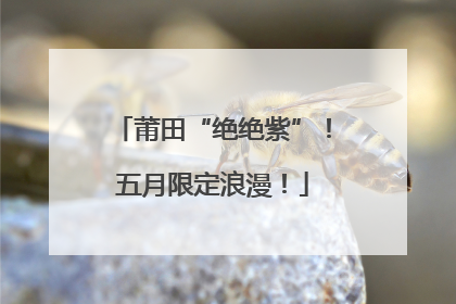 莆田“绝绝紫”！五月限定浪漫！