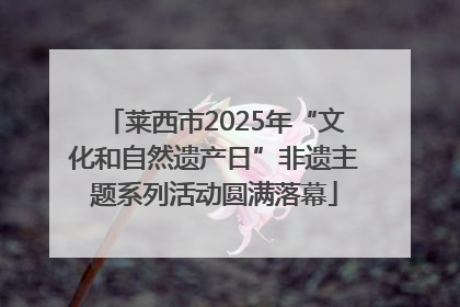 莱西市2025年“文化和自然遗产日”非遗主题系列活动圆满落幕