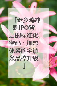 老乡鸡冲刺IPO背后的标准化密码：加盟体系的全链条品控升级