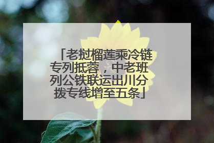老挝榴莲乘冷链专列抵蓉，中老班列公铁联运出川分拨专线增至五条